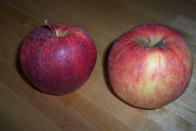 K640_100_4703.JPG