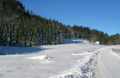 DSCN6139_kl_hochsteinalm.jpg