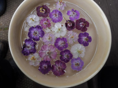 P1010476.JPG