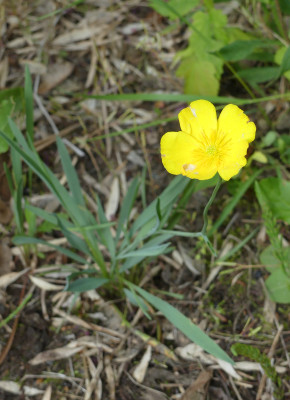 2021-05-21 UGO 1.jpg