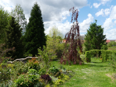 2021-05-21 Garteneinblick 2.jpg