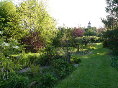 2021-05-21 Garteneinblick 9.jpg
