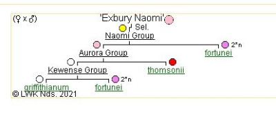 Exbury Naomi.JPG