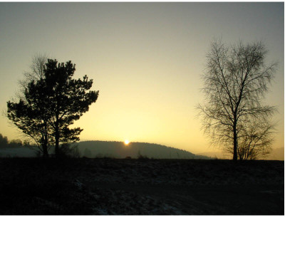Spaziergang_22.12.07_Heim.jpg