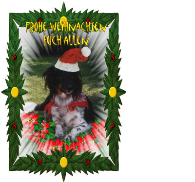 Weihnachtsdickie.jpg
