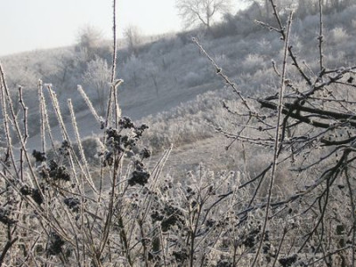 geeiste_Landschaft.jpg