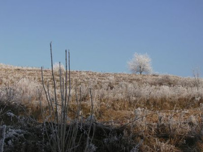 Winterlandschaft_ohne_Schnee.jpg