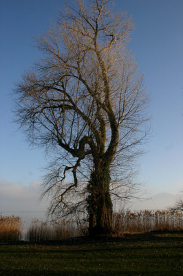 Ausfl.Dez.8907.jpg