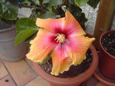 PICT3311.JPG