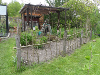 2021-05-22 Garteneinblick 12.jpg