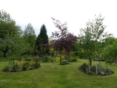 2021-05-22 Birkenhain 2.jpg
