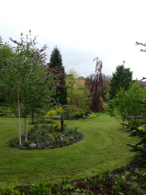 2021-05-22 Birkenhain 3.jpg