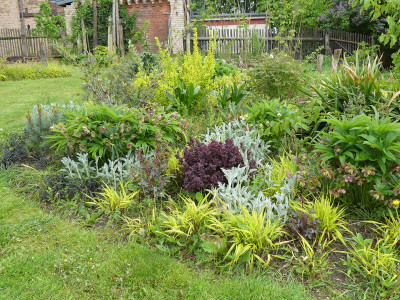 2021-05-22 Birkenhain 6.jpg