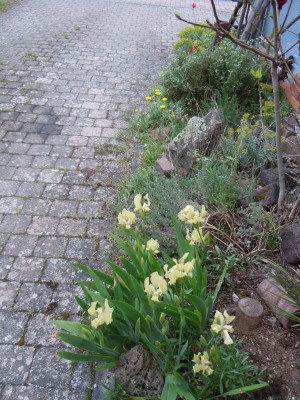 DSCN0836.JPG