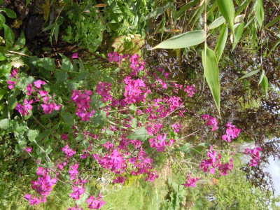 DSCN0852.JPG