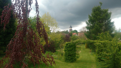 2021-05-23 Gartenimpressionen 2.jpg
