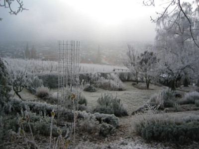 Garten_20071223.jpg