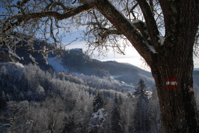 burg_altpernstein_winter.jpg