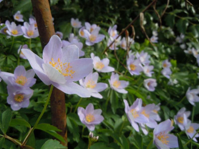 DSCN0823.JPG