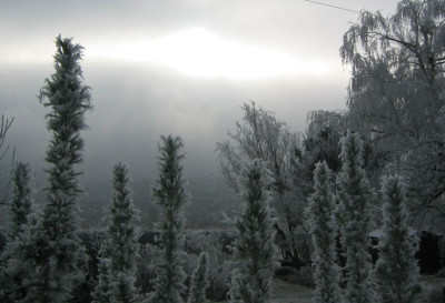 Garten_20071223_02.jpg