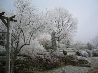 Garten_20071223_03jpg.jpg