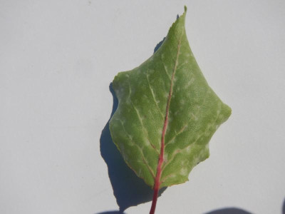 DSCN9329.JPG