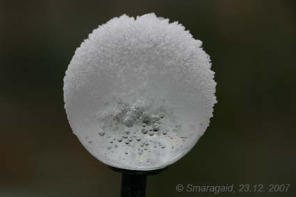 Rosenkugel-2007-12-23_9662.jpg