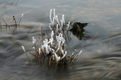 Donauraureif-12.jpg