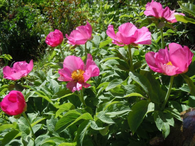 DSCN0881.JPG