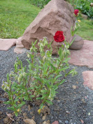 DSCN0874.JPG