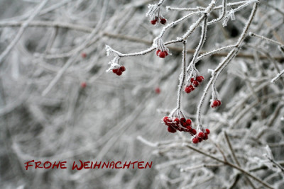 Weihnachtskarte.jpg