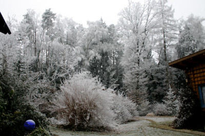 Rauhreif2007.jpg