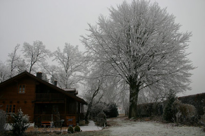 Rauhreif0907.jpg
