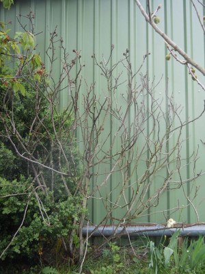 DSCN0855.JPG