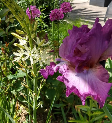 IMG_20210524_134856882_HDR~2.jpg