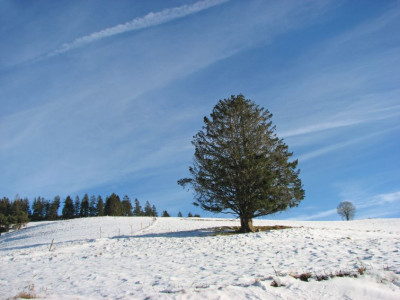 BAUME_II_SO_231207.jpg