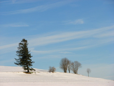 BAUME_IV_SO_231207.jpg