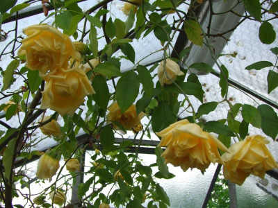 2021_022324Mai210100.jpg