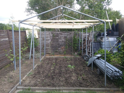 TomatenGurkenGerüst.jpg