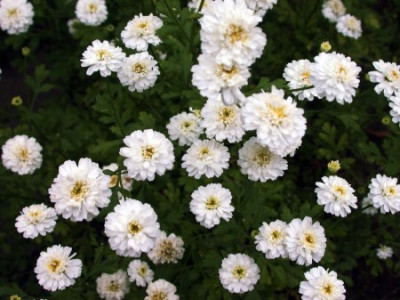 DSCN3485002.jpg
