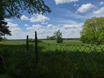 P1110818 k.jpg