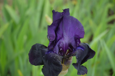 D6404.JPG