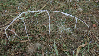 Brucke_im_Gras_0010_DSC_9274.jpg