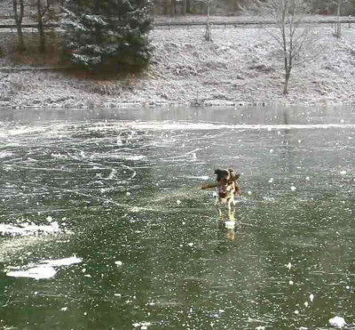 Barenfichtenweiher_Weihnachten_07.jpg