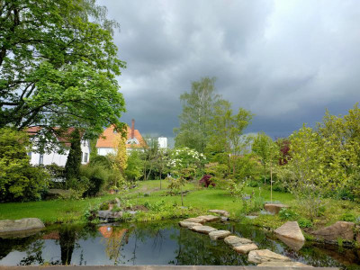 IMG20210525142736.jpg