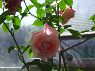 2021_022324Mai210004.jpg