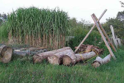 stehlampe1.jpg