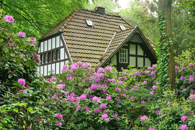 rhodohaus2.jpg