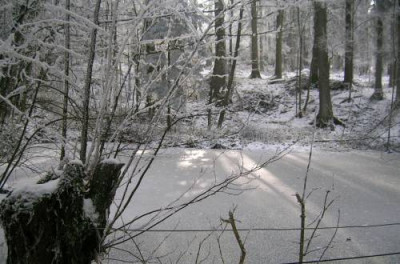 DSCN6262_kl.jpg
