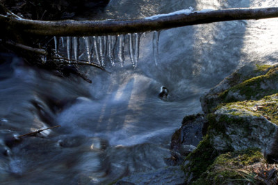 Eisbachrauschen-1.jpg